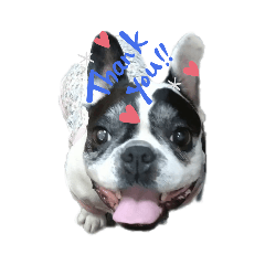 はなびちゃんスタンプ_個人用