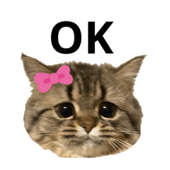 クムちゃんのスタンプ