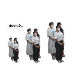 ぽぽぽん、。！