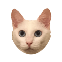 オキョドバーン