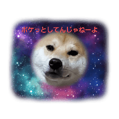 つぶちゃんの気持ち