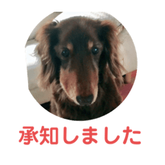 大人の言葉づかい