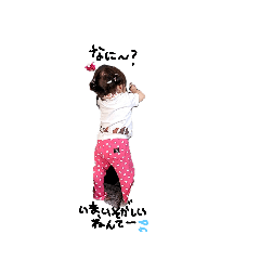 末っ子あいちゃん