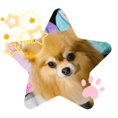 愛犬スタンプ　小型犬