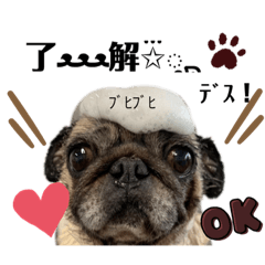 パグのひまりちゃんスタンプ♡
