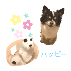 ガブちゃんのきもち