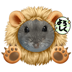 我が家のちゅんぴん