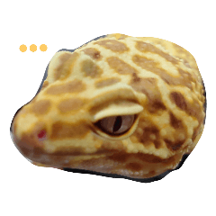 うちのろふくん