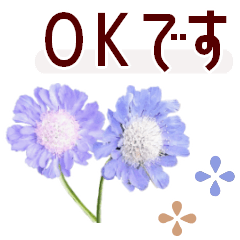 ▶︎動くよ！花の敬語＊肌寒い季節の気遣い