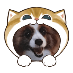 犬の銀くんと蘭ちゃんスタンプ