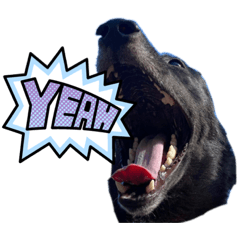 タロさんスタンプ No1