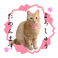 メルやんの関西弁スタンプ♬