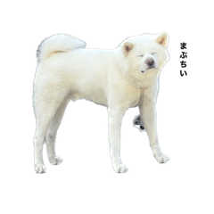 でかすけかみすけてらちすけ