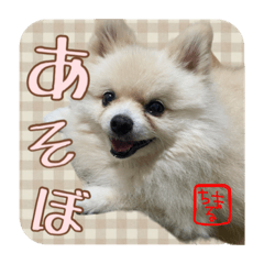 ゆきちまるくん