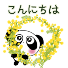 ぱんだのぴ〜ちゃん♪ミモザmimozaみもざ♡