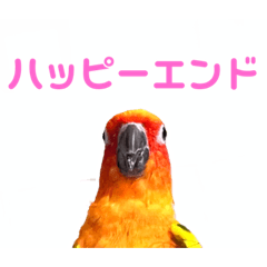 鳥のスタンプ　猫のスタンプ