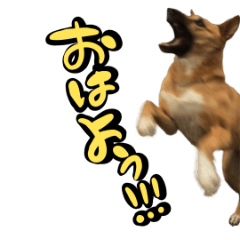 わんわんお　りおん