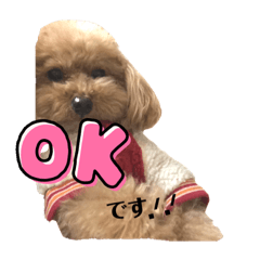 ねろさんの日常