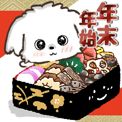 愛犬ワンコde年末年始♡マルチーズ♡冬