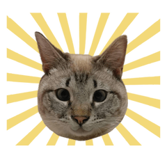 犬ちゃんと猫ちゃん　ちょっと仙台弁