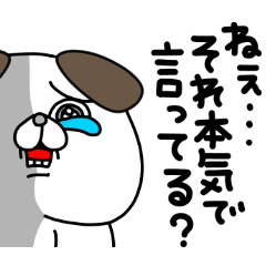 全力いぬ情緒不安定編