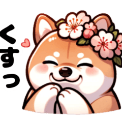 柴犬と桜の春スタンプ