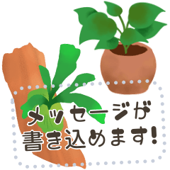 文字入力できる♥クールな観葉植物フレーム