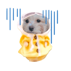 マルプーちくわ３