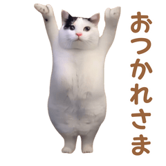 動く！躍る猫ミーム(パート14)