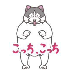 plump cat1234