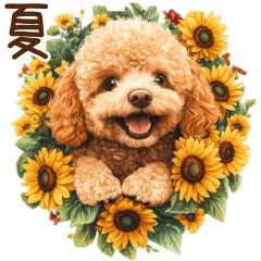 かわいく夏満喫トイプードル