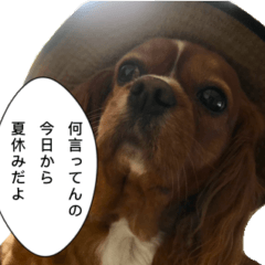 ピーチコのスタンプ