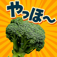 【動く】こんな、ブロッコリーどうでしょう