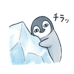 真顔ペンギン（シュール・虚無）