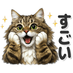 毎日使える！ サイベリアン