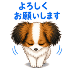 やんちゃで丁寧！パピヨンのむぎ君（敬語）