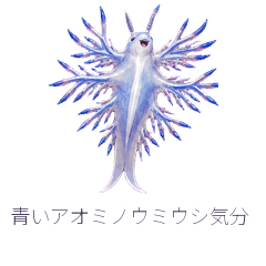 青いアオミノウミウシ気分