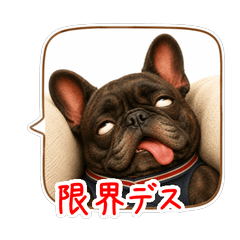 吹き出しの中のフレブル福ちゃんの日常