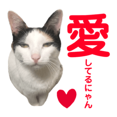 小町のいろいろなスタンプ