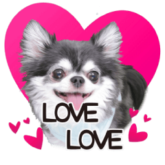 ラブリーうどん