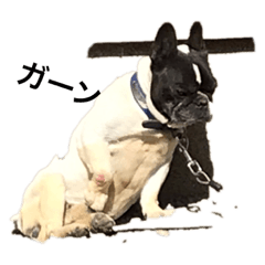 フレブルおやじ