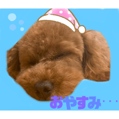 ららんじゃの日常