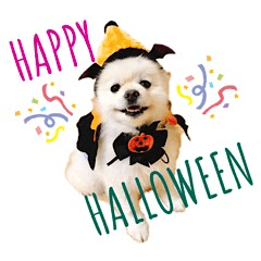 白ポメもこさんのスタンプ♡