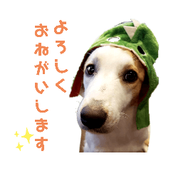 シェリバディレイルーチェ