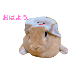 うさぎのらら