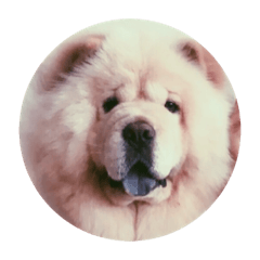 Soy milk . I want to eat meat .