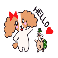 子犬と時々カメじいちゃん