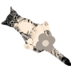 ねこのにゃすけさん