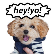 くるみのスーパースタンプ２