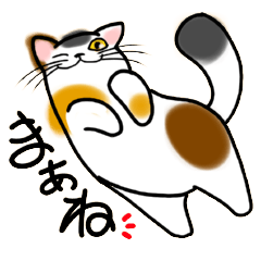 まだ続く　和風猫